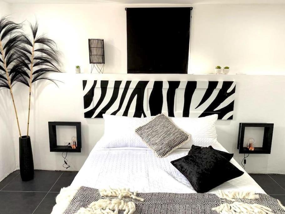 Paradiso Apartments - 1 Bdr Ораниестад Екстериор снимка